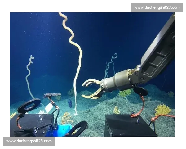 深潜探索：揭秘海洋深处未知世界与未来潜水技术的创新发展