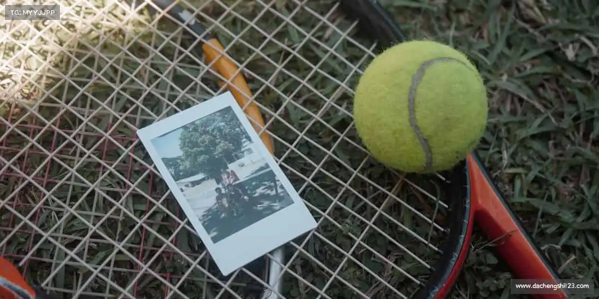 行业领先的理由